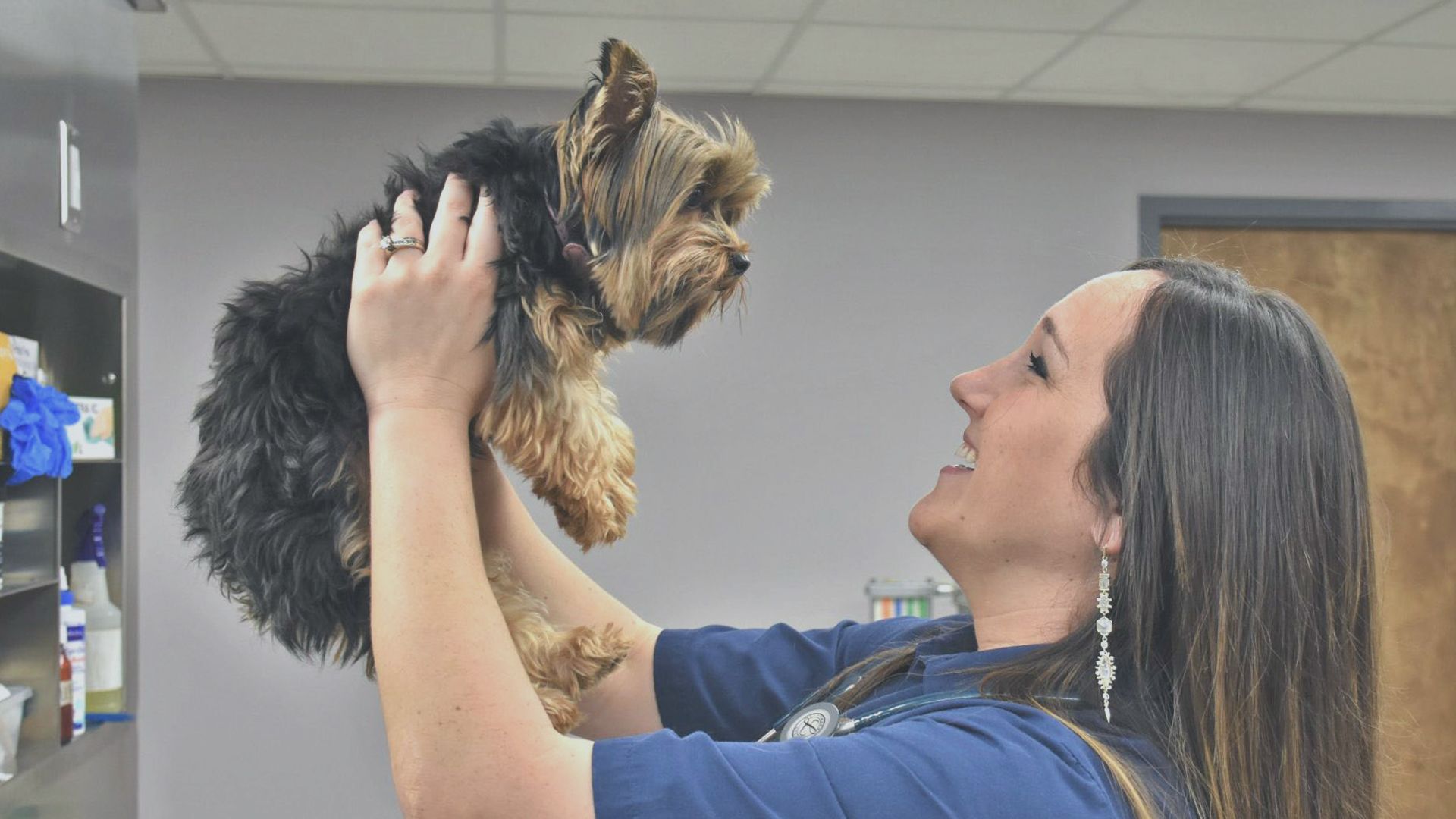 las mejores veterinarias en boca chica 1