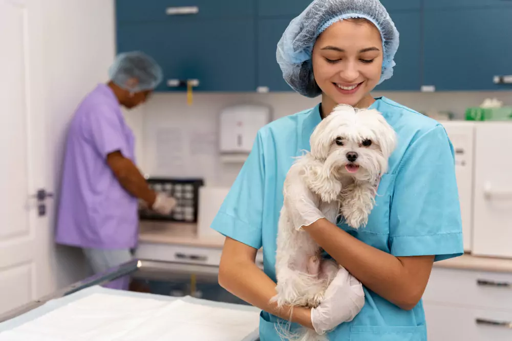 las mejores veterinarias en bonao