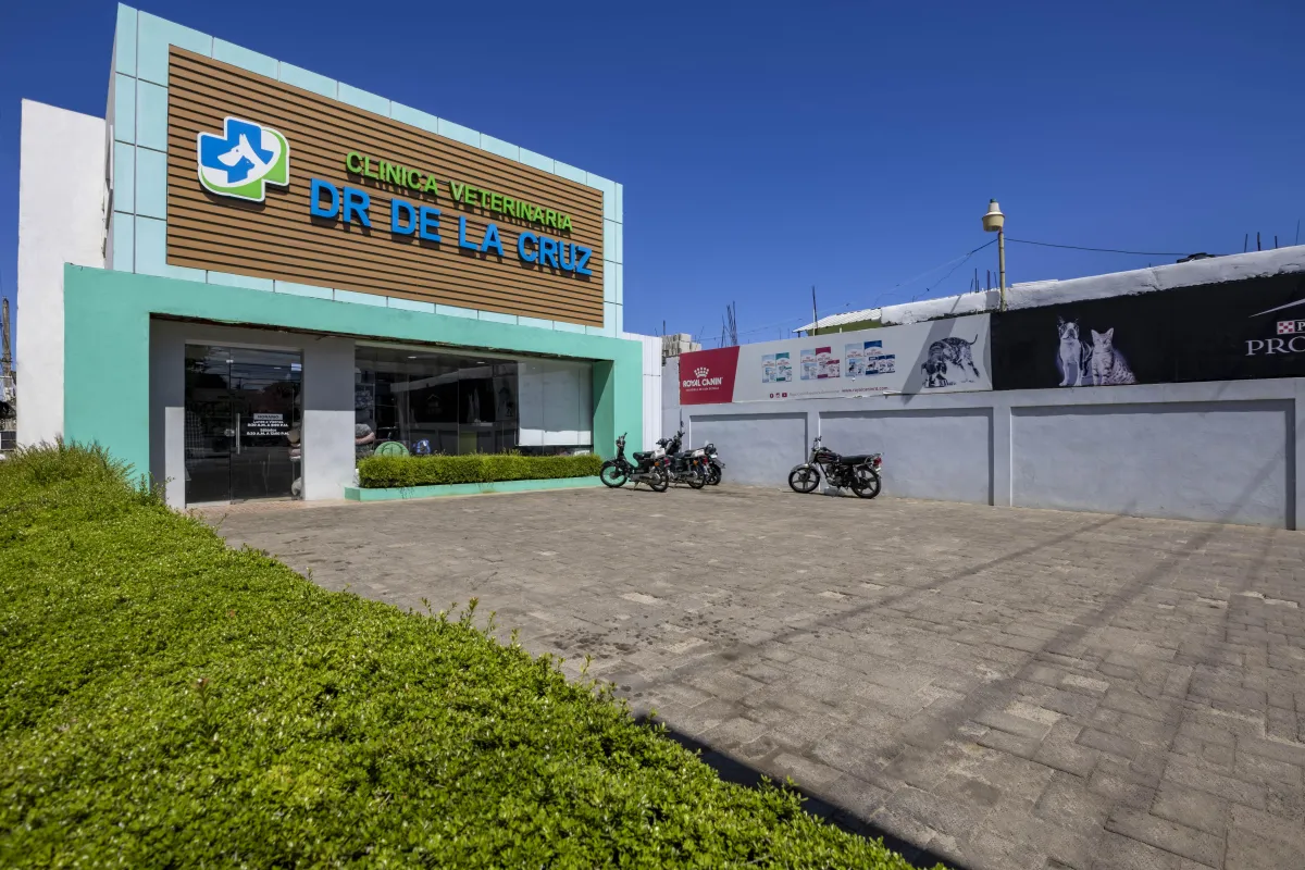 las mejores veterinarias en cabarete de republica dominicana