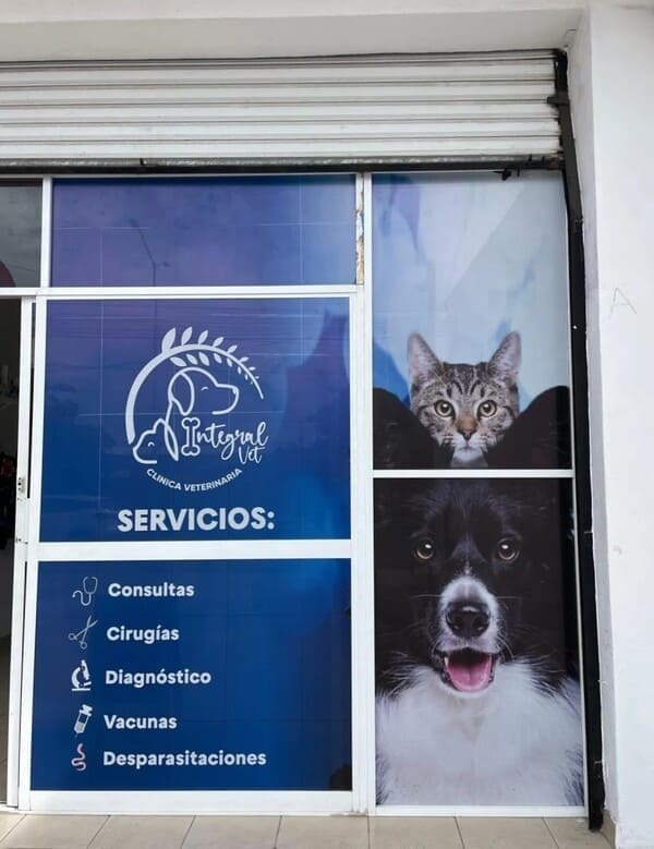 las mejores veterinarias en cabral