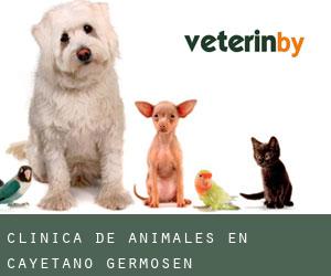 Las mejores Veterinarias en Cayetano Germosén 1 las mejores veterinarias en cayetano germosen 1