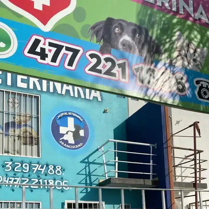 las mejores veterinarias en cevicos