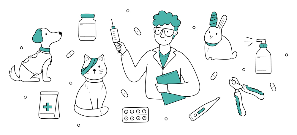 las mejores veterinarias en ciudad nueva