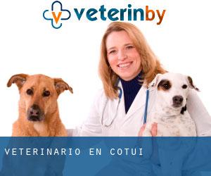 las mejores veterinarias en cotui de republica dominicana con excelente atencion 1