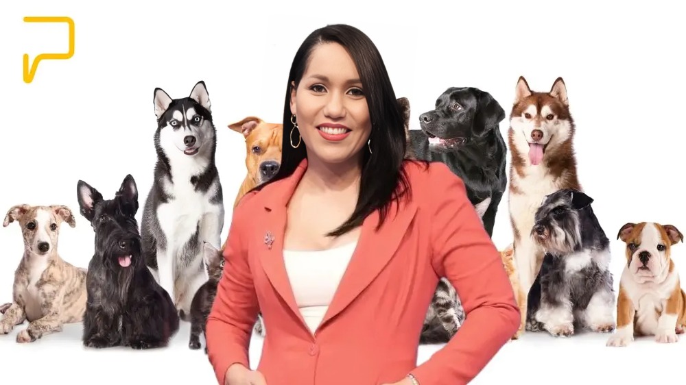 las mejores veterinarias en el seibo