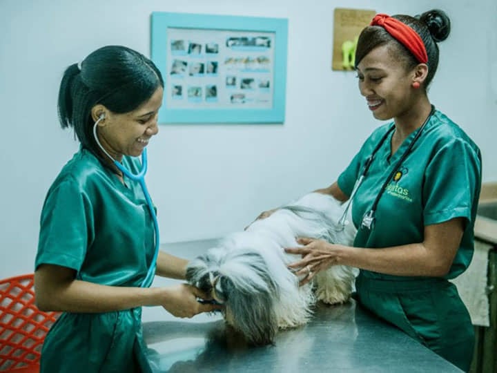 las mejores veterinarias en el valle de la republica dominicana 1