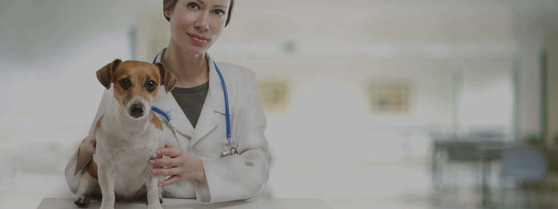 las mejores veterinarias en espaillat