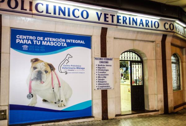 las mejores veterinarias en guananico
