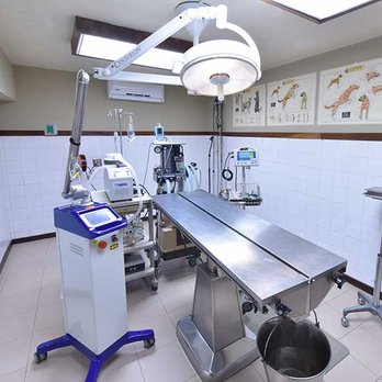 las mejores veterinarias en guayubin