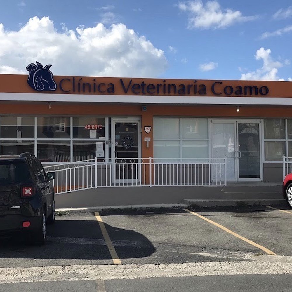 las mejores veterinarias en hato mayor del rey 1