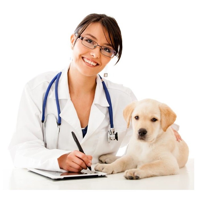 las mejores veterinarias en hostos de republica dominicana con excelente servicio