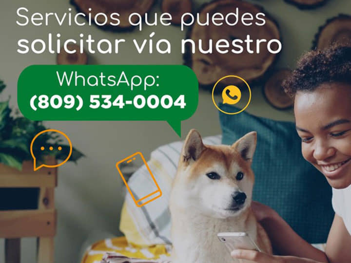 las mejores veterinarias en joba arriba