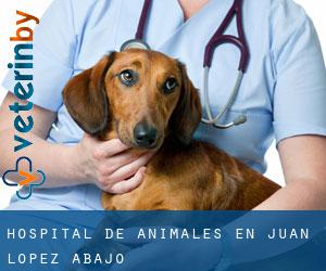 las mejores veterinarias en juan lopez abajo 1