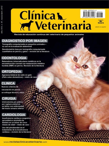 las mejores veterinarias en la altagracia
