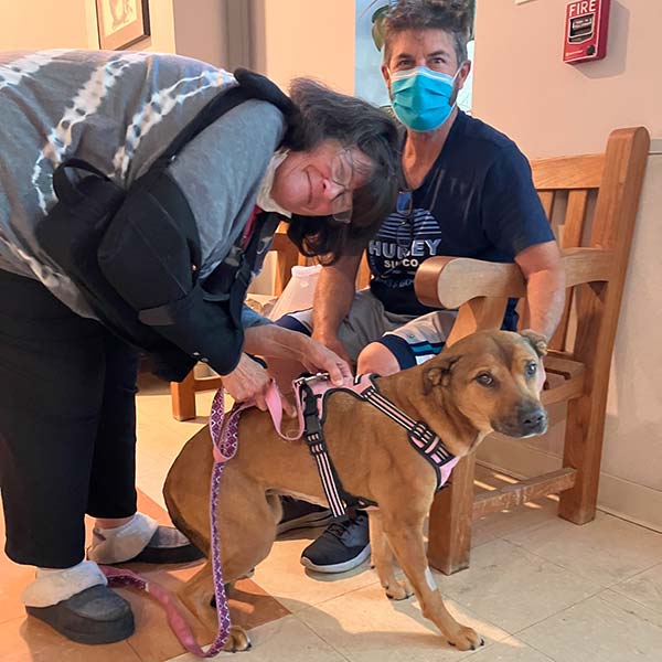 las mejores veterinarias en la canela