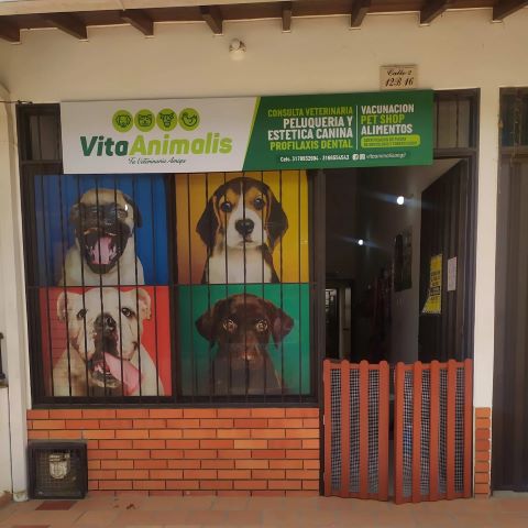 Las mejores Veterinarias en La Ciénaga 1 las mejores veterinarias en la cienaga