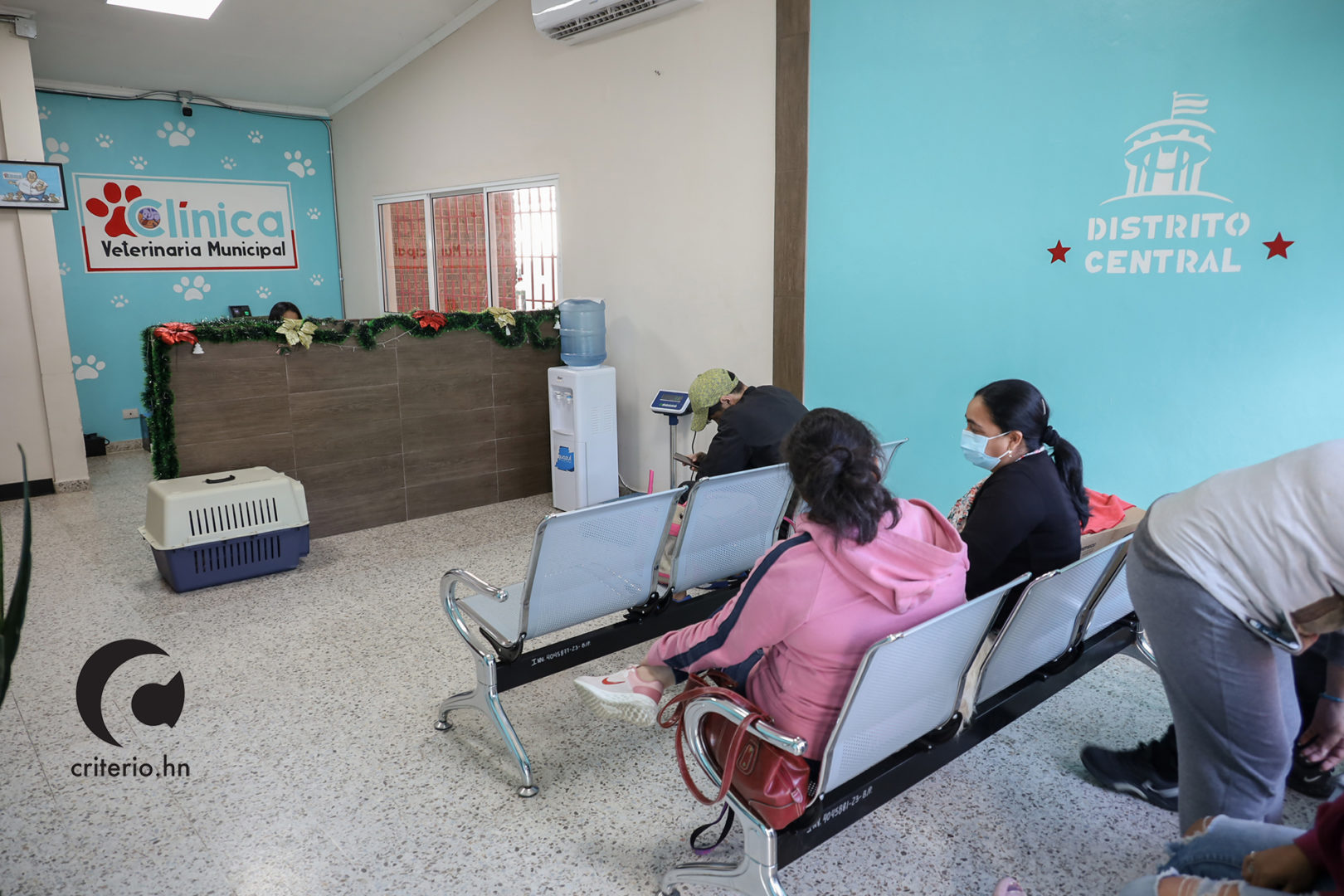 las mejores veterinarias en la entrada