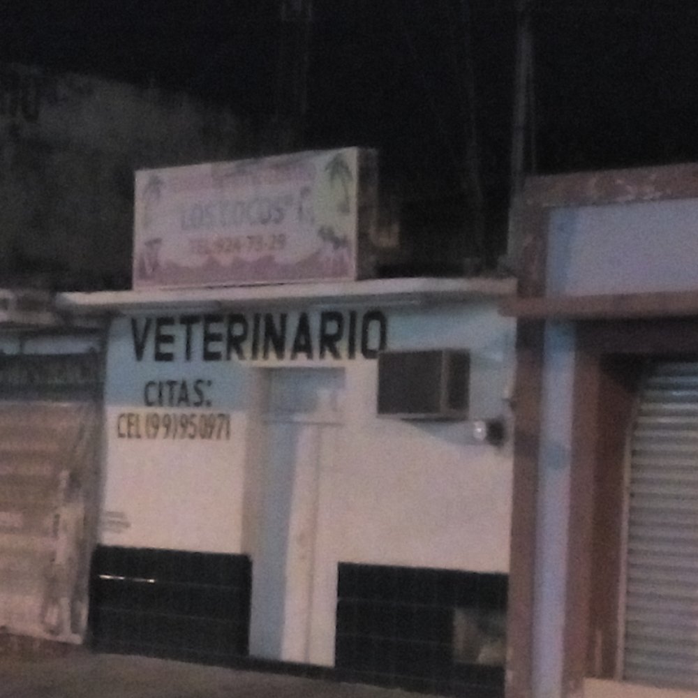 las mejores veterinarias en la uvilla
