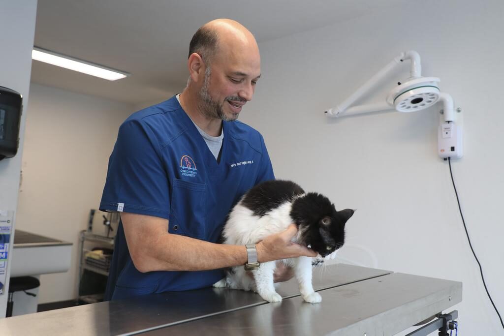 las mejores veterinarias en laguna salada 1