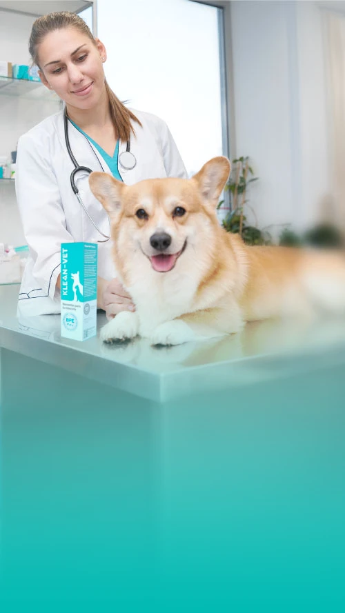 las mejores veterinarias en las matas de santa cruz