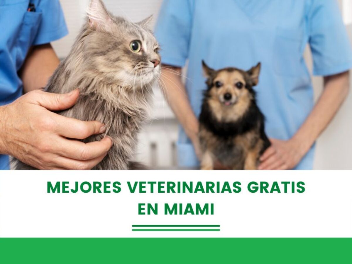 las mejores veterinarias en los botados de republica dominicana