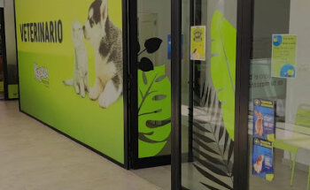 las mejores veterinarias en los llanos