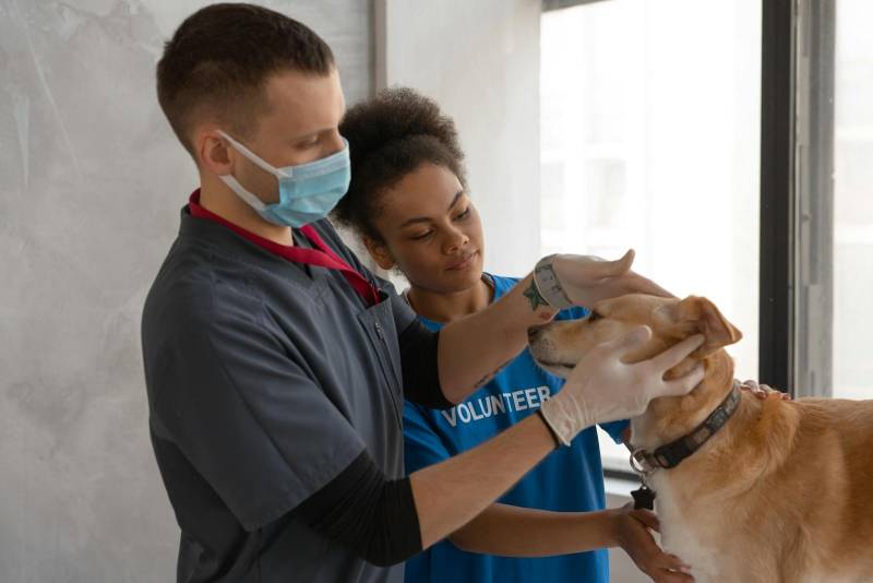 Las mejores Veterinarias en Los Ríos 1 las mejores veterinarias en los rios