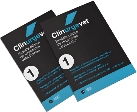 las mejores veterinarias en maria trinidad sanchez