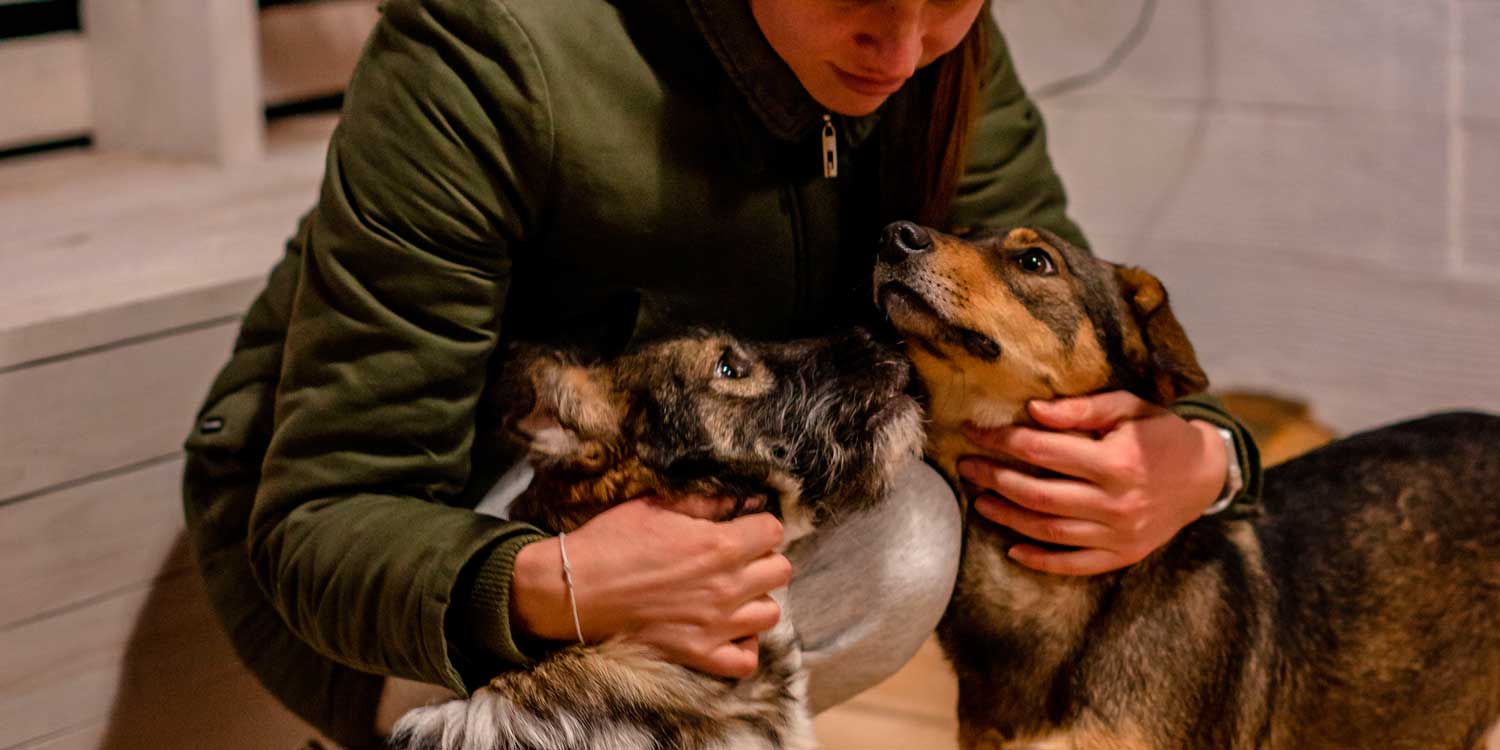 las mejores veterinarias en monte llano
