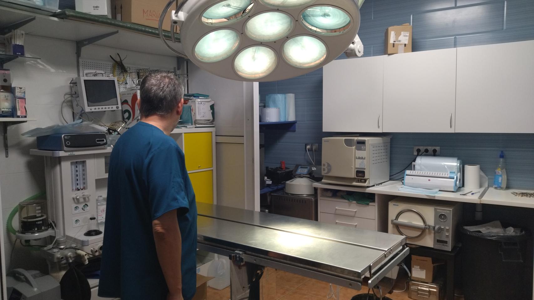 las mejores veterinarias en paya