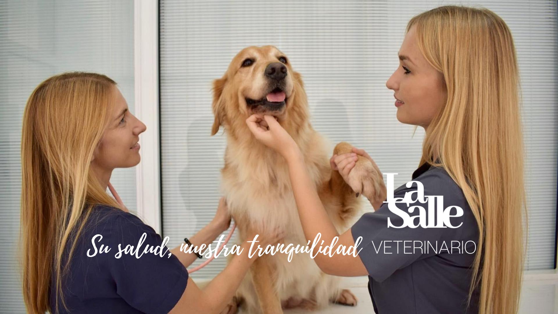 las mejores veterinarias en pepillo salcedo