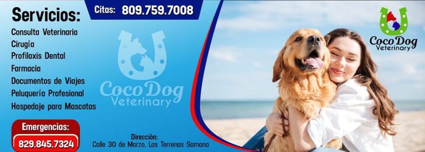 las mejores veterinarias en puerto plata para tu mascota en republica dominicana
