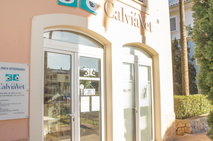 las mejores veterinarias en ramon santana