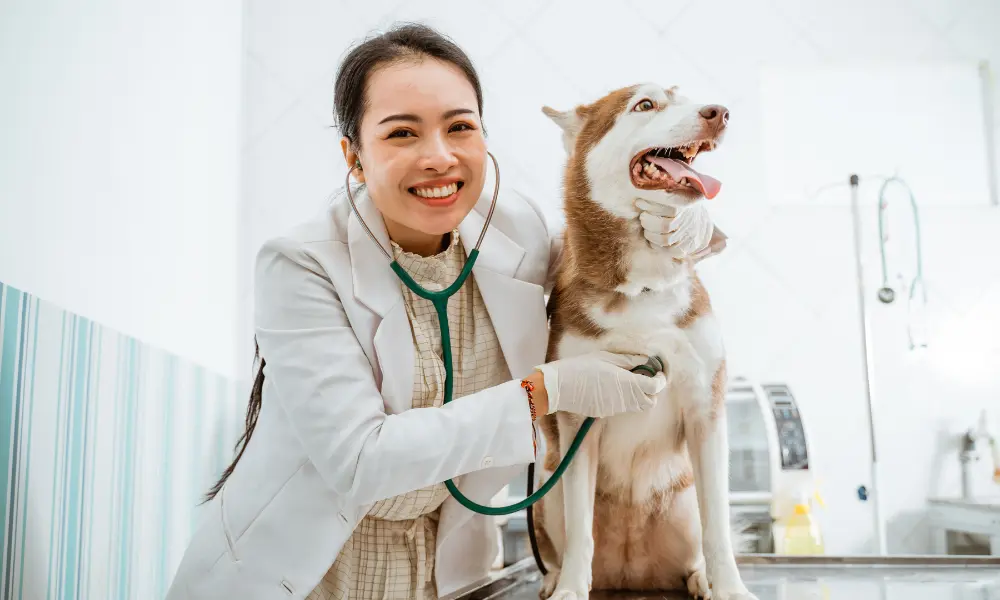 las mejores veterinarias en rio grande