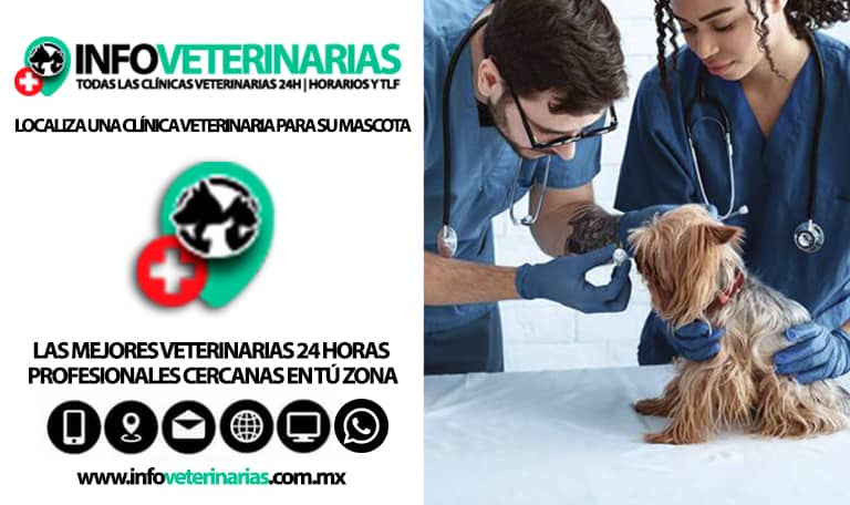 las mejores veterinarias en sabana del puerto