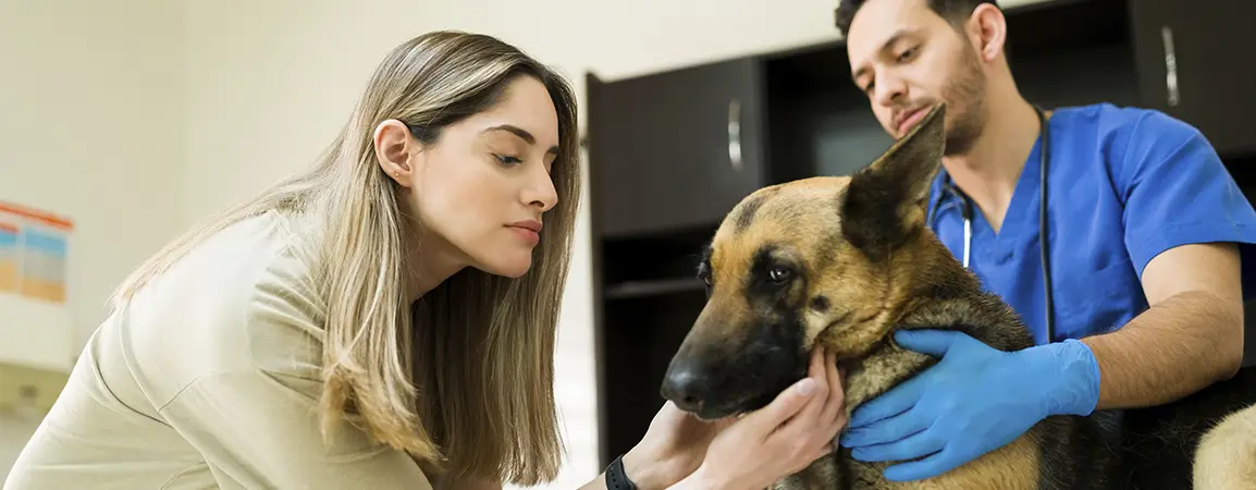 las mejores veterinarias en sabaneta de la republica dominicana con experiencia y calidad
