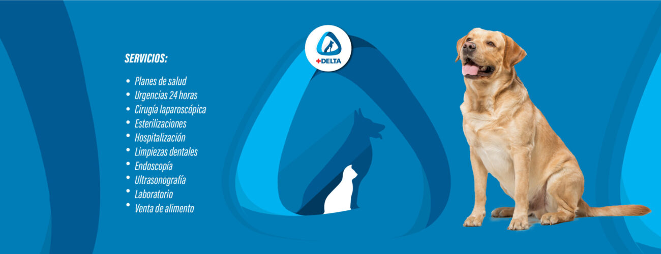 las mejores veterinarias en salvaleon de higuey