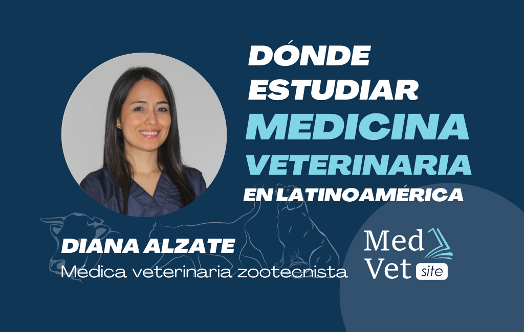 las mejores veterinarias en san carlos de la republica dominicana