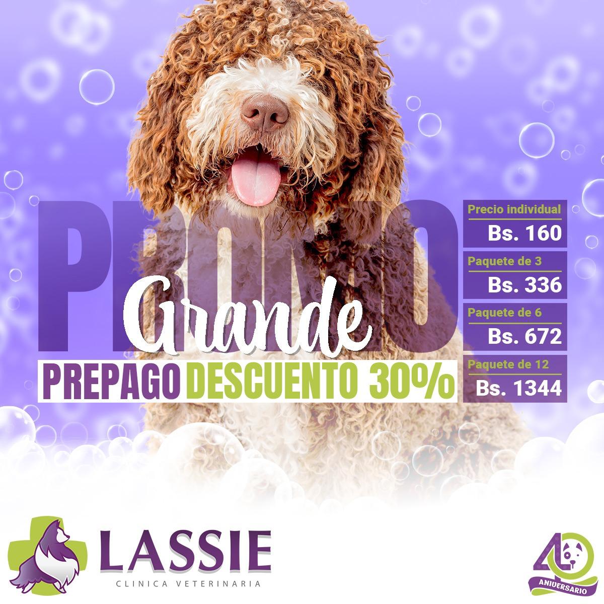 las mejores veterinarias en santa cruz de el seibo