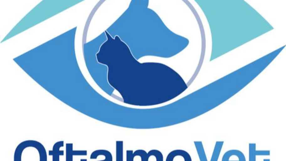 las mejores veterinarias en santiago de los caballeros