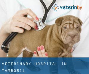 las mejores veterinarias en tamboril 1
