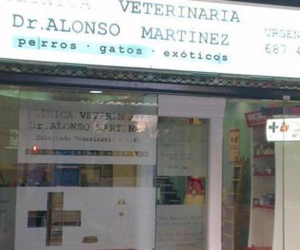 las mejores veterinarias en tireo arriba