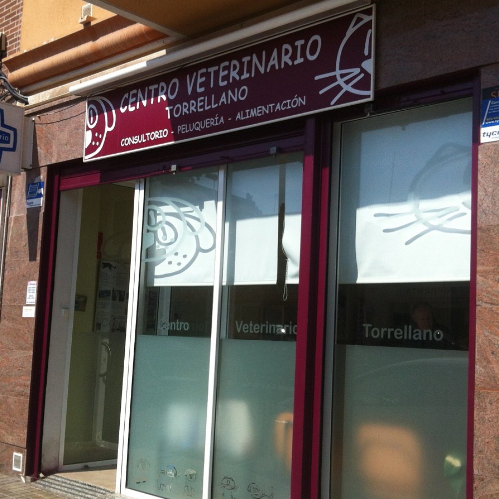 las mejores veterinarias en villa francisca