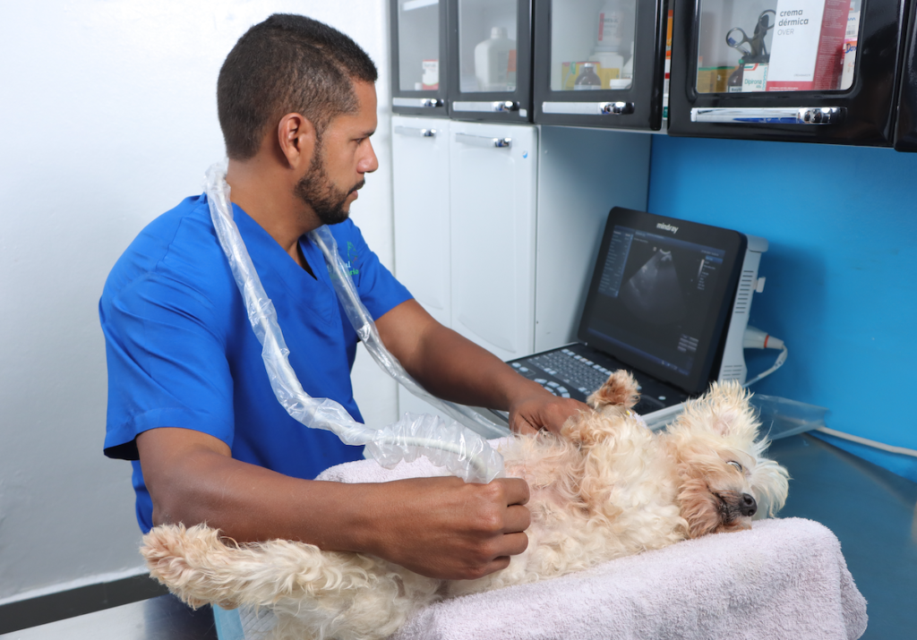 las mejores veterinarias en villa isabela