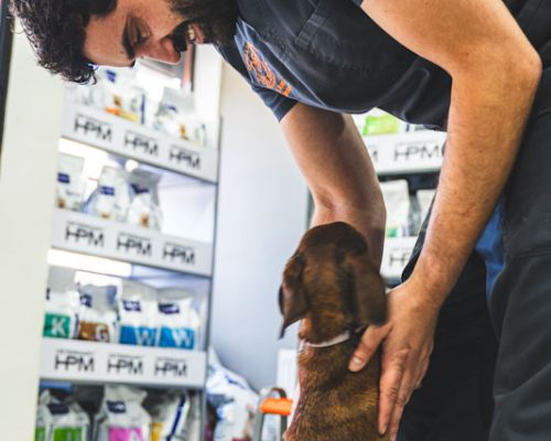 las mejores veterinarias en villa vasquez