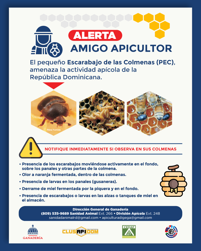 miguel aneudys servicios veterinarios