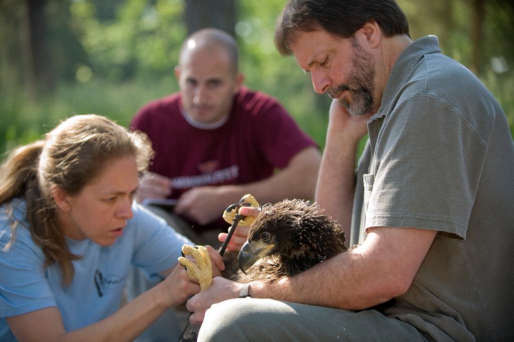 mojica vet service 1