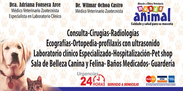 mundo animal clinica veterinaria 1