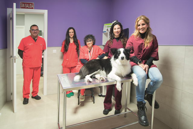 mundo animal clinica veterinaria 2