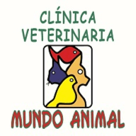 mundo animal clinica veterinaria